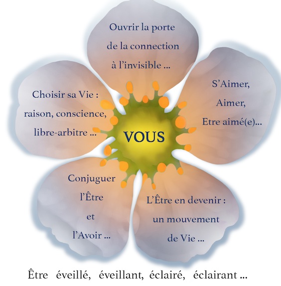 Illustration du programme Didaskalia – fleur de lumière